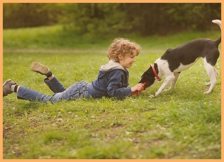 的训犬学校怎么样训狗